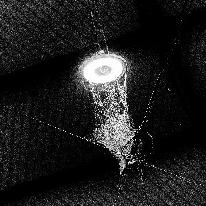 Web